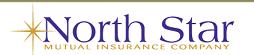 NorthStar Mutual Logo